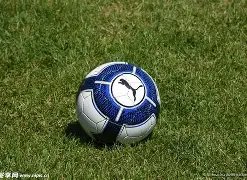 神算揭晓,期大乐透精,准预测,足彩网,足彩网首页,足彩网官网