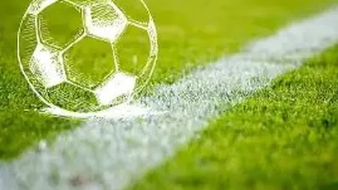 【喜从天降】3D彩票第2026021期预测大揭秘：免费解析，值号揭晓，头奖在望！