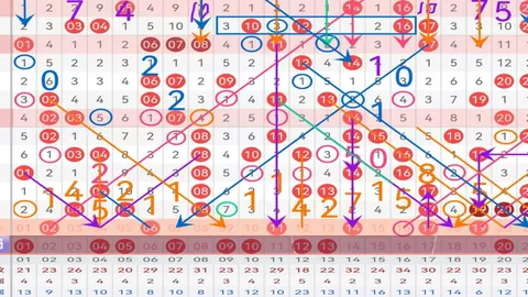 双色球第2026025期凤尾推荐：19号、22号精选