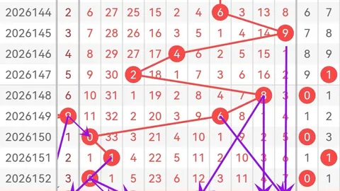 2026年福彩3杀号秘籍：络腮胡子精准推荐
